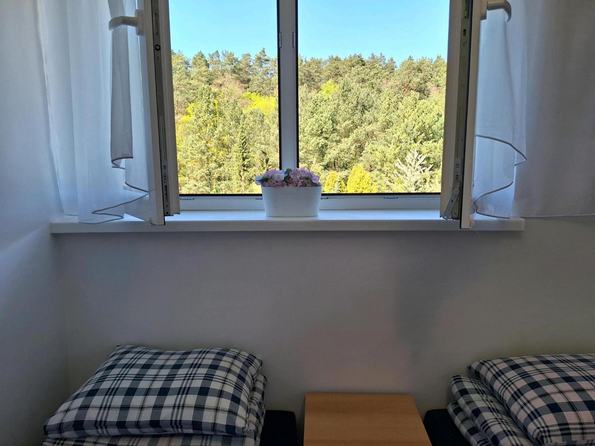 Lesne Zacisze Hotel Mikoszewo Buitenkant foto